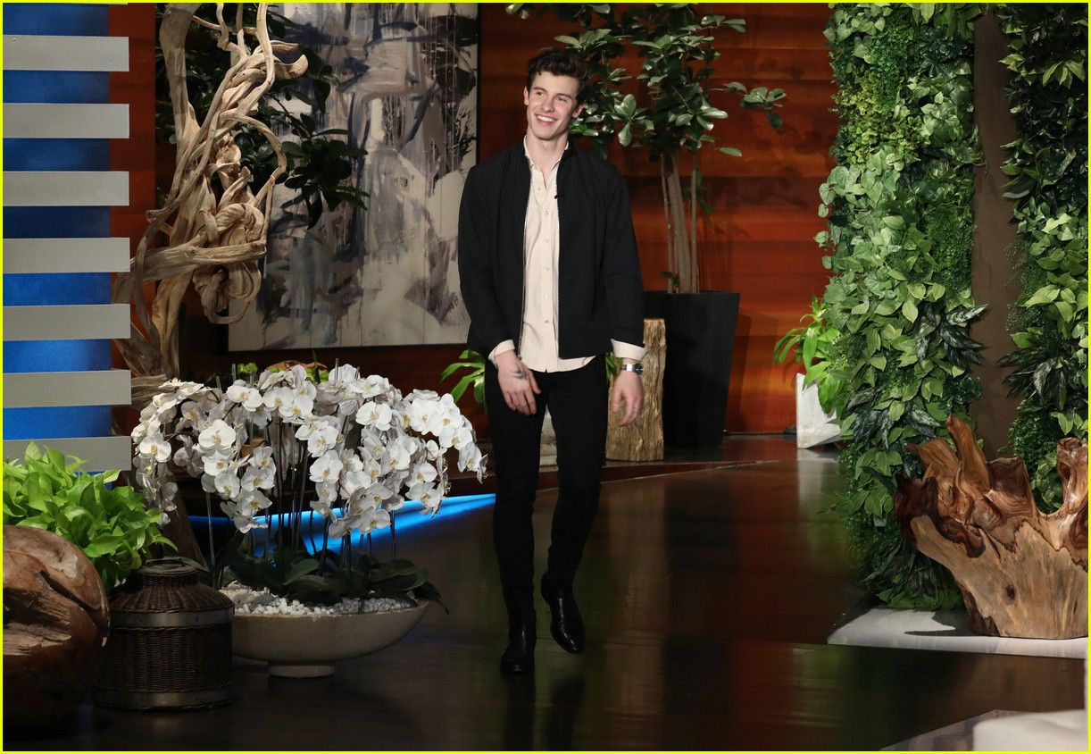 Shawn Mendes Had a Hilarious Encounter With Queen Elizabeth! (Video)