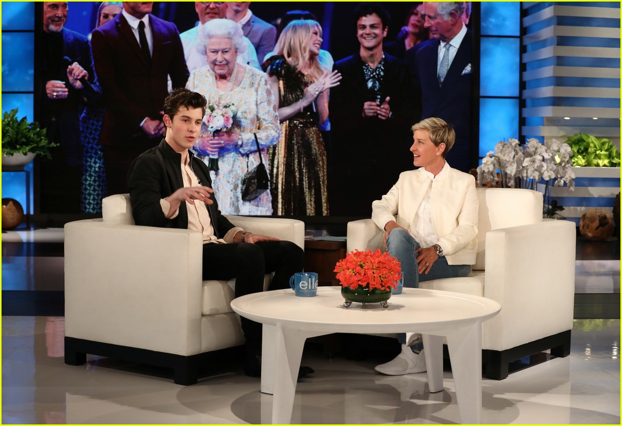 Shawn Mendes Had a Hilarious Encounter With Queen Elizabeth! (Video)