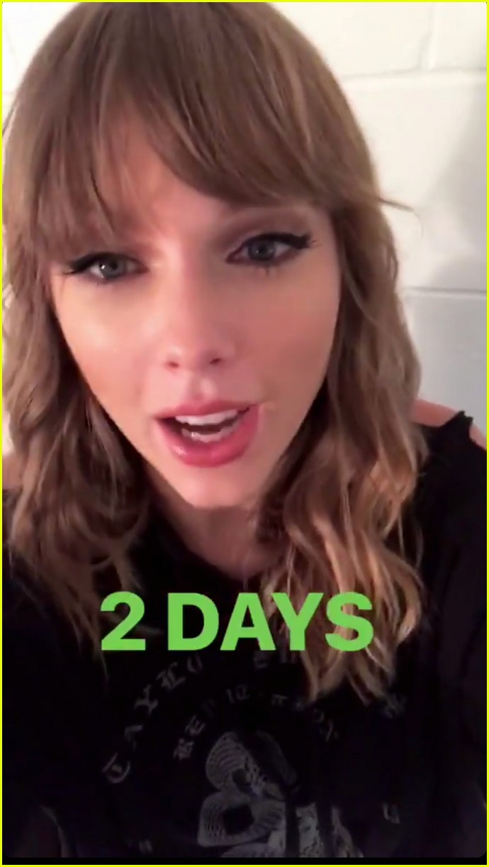 Taylor Swift Has the Coolest Microphones for Her Tour!