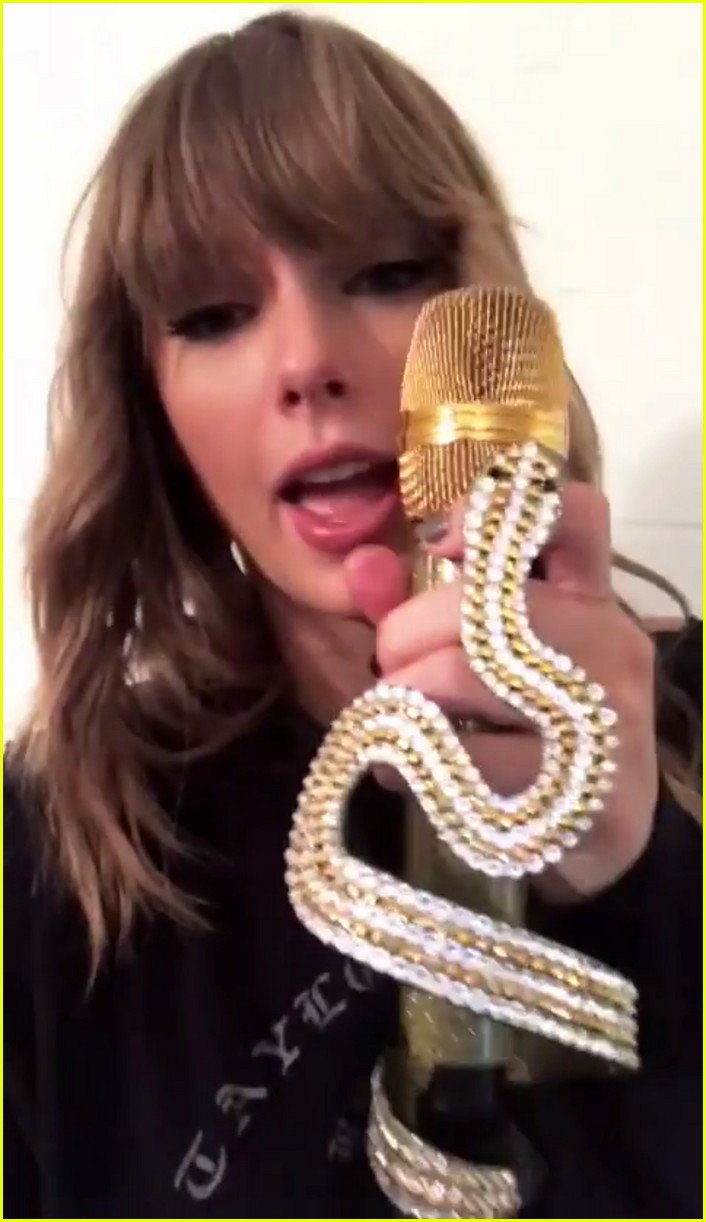 Taylor Swift Has the Coolest Microphones for Her Tour!