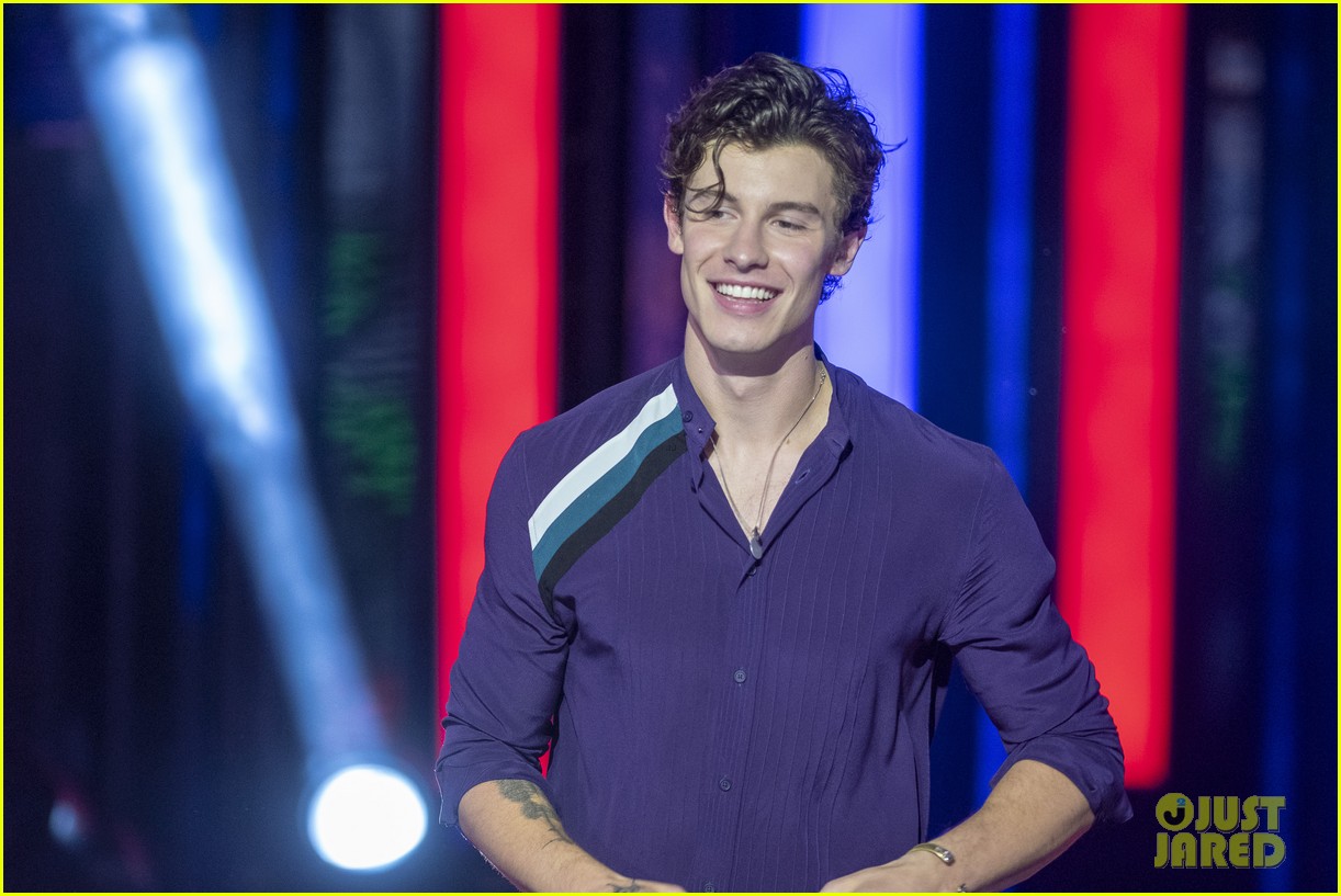 Shawn Mendes Is the Big Winner at MMVAs 2018!