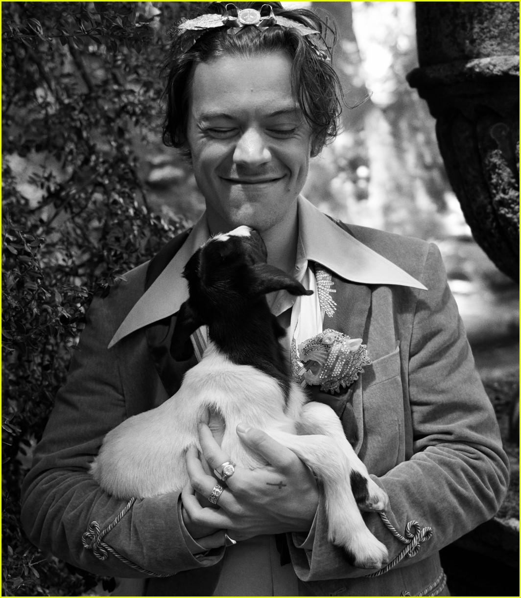 Harry Styles Takes Pics With Cute Animals for Gucci's Cruise 2019 Campaign!