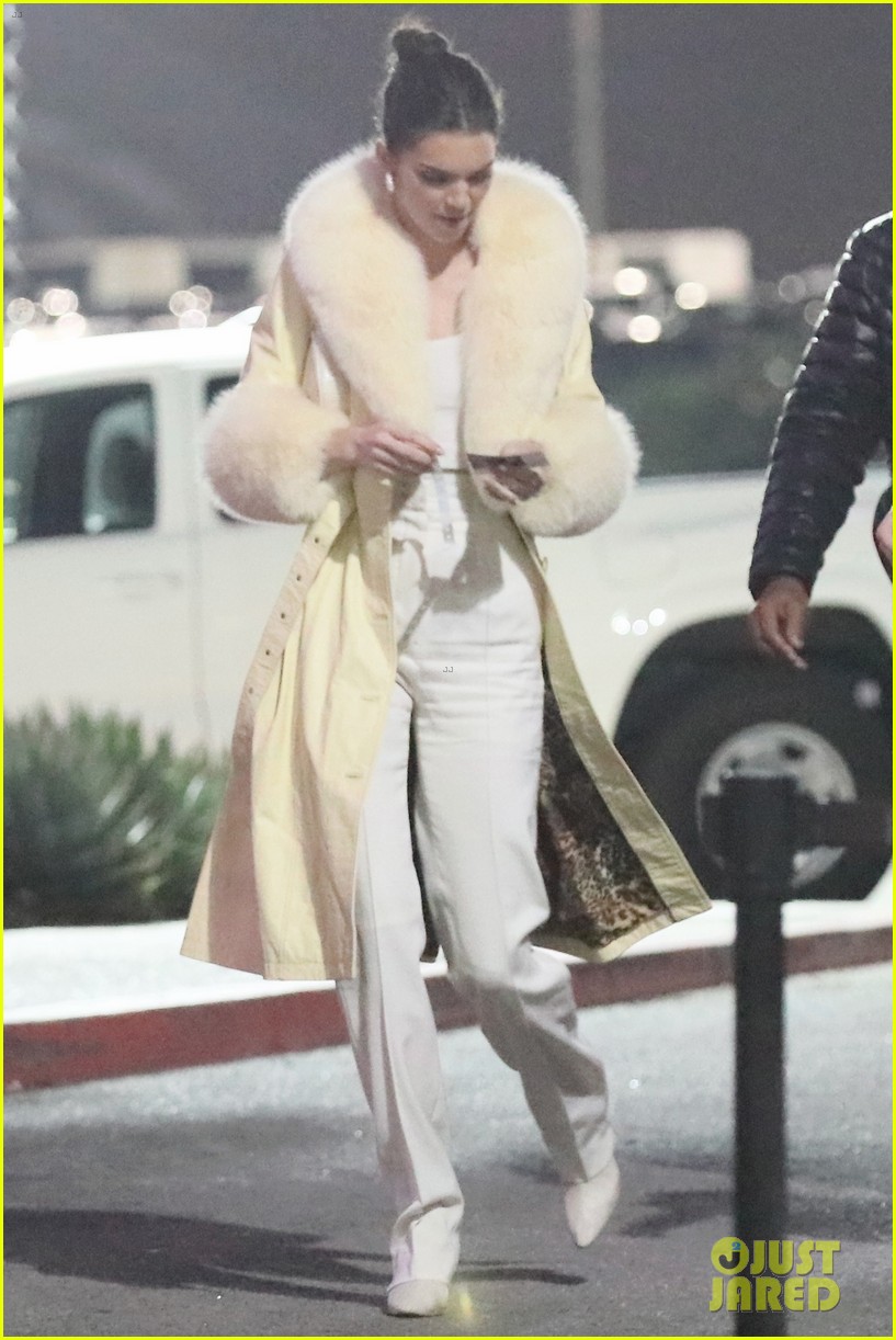 Kendall Jenner Heads to a Concert with Friends!