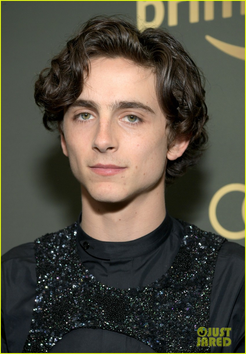 Kaitlyn Dever Reunites with Timothee Chalamet at Golden Globes Parties!