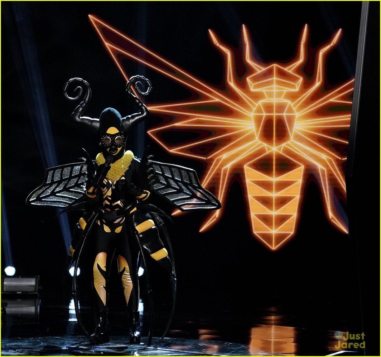 Raven, Alien, Poodle, Pineapple, Rabbit & Bee Compete On Tonight's 'The Masked Singer'