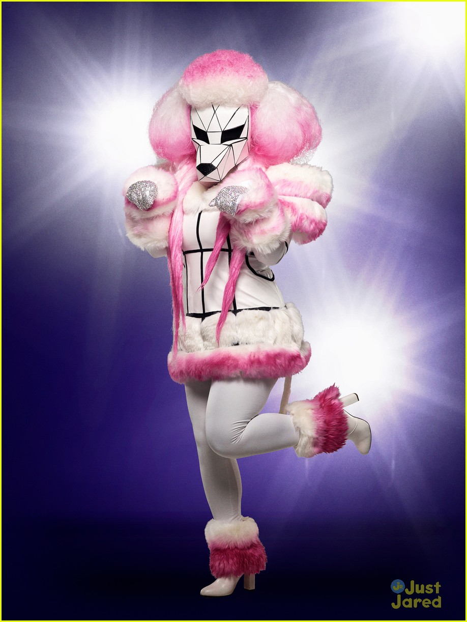 Raven, Alien, Poodle, Pineapple, Rabbit & Bee Compete On Tonight's 'The Masked Singer'