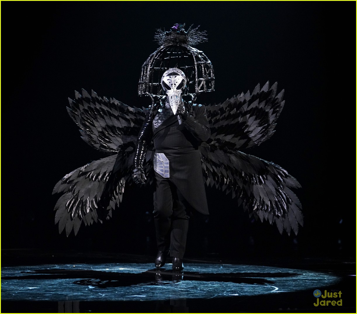 Raven, Alien, Poodle, Pineapple, Rabbit & Bee Compete On Tonight's 'The Masked Singer'