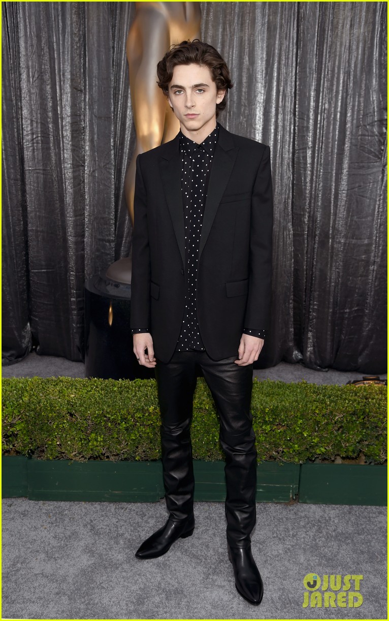Timothee Chalamet Wears Leather Pants To SAG Awards 2019