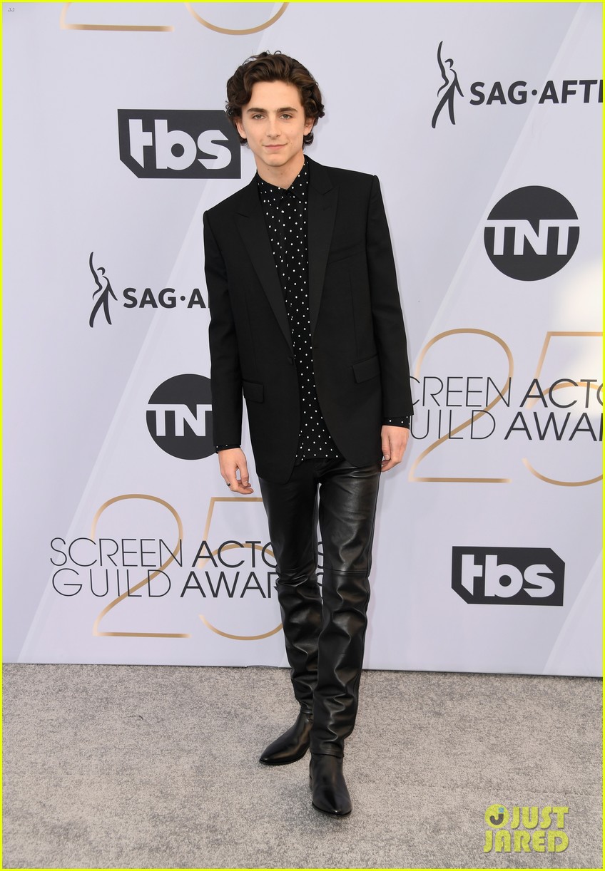 Timothee Chalamet Wears Leather Pants To SAG Awards 2019