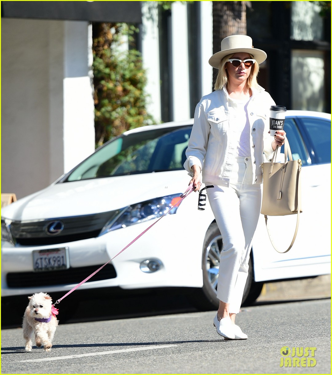 Ashley Tisdale's Beloved Dog Maui Passes Away