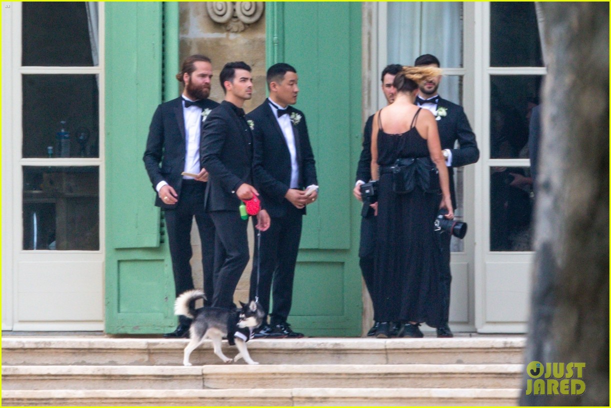 Joe Jonas & Sophie Turner's Dog Porky Basquiat Wore a Tux To Their Wedding!