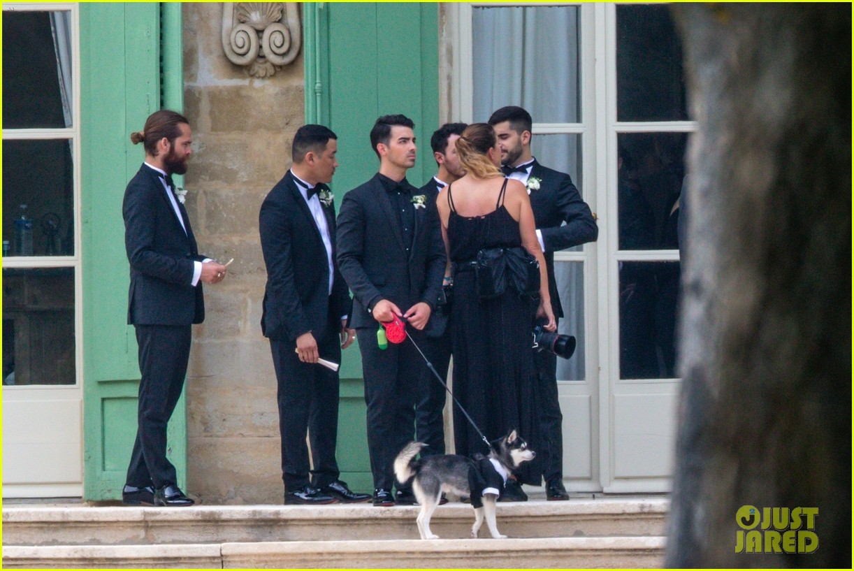 Joe Jonas & Sophie Turner's Dog Porky Basquiat Wore a Tux To Their Wedding!