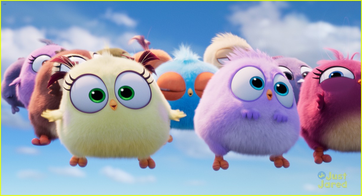 'Angry Birds 2' Debuts Adorable Hatchlings Clip - Watch Here!