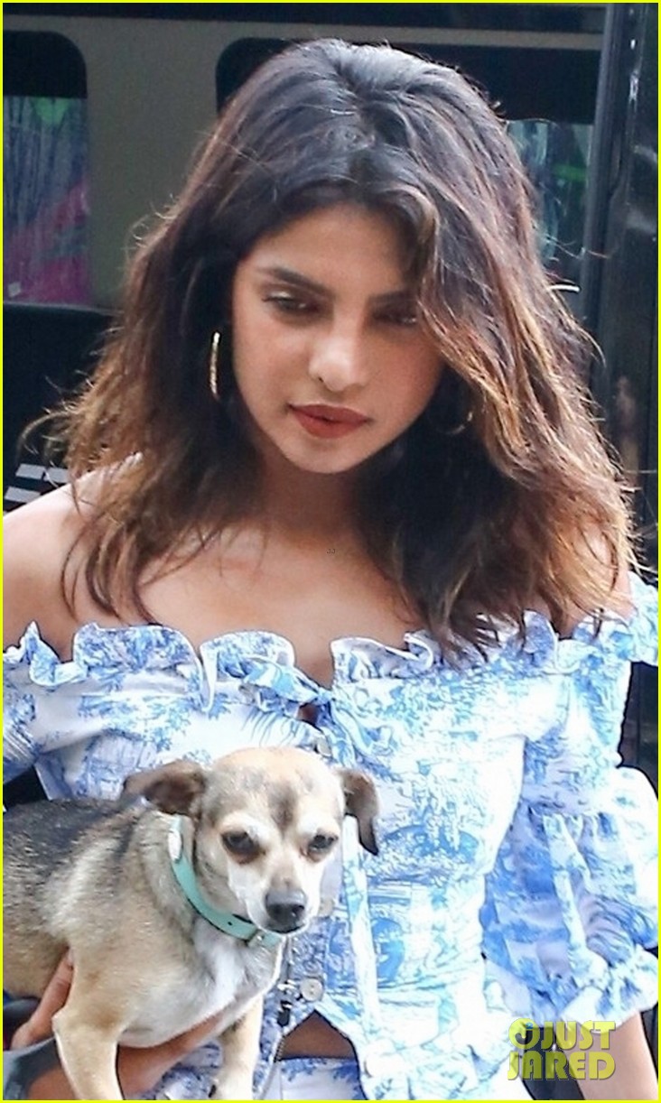 Priyanka Chopra Brings Pup Diana For Shopping Trip With Sophie Turner