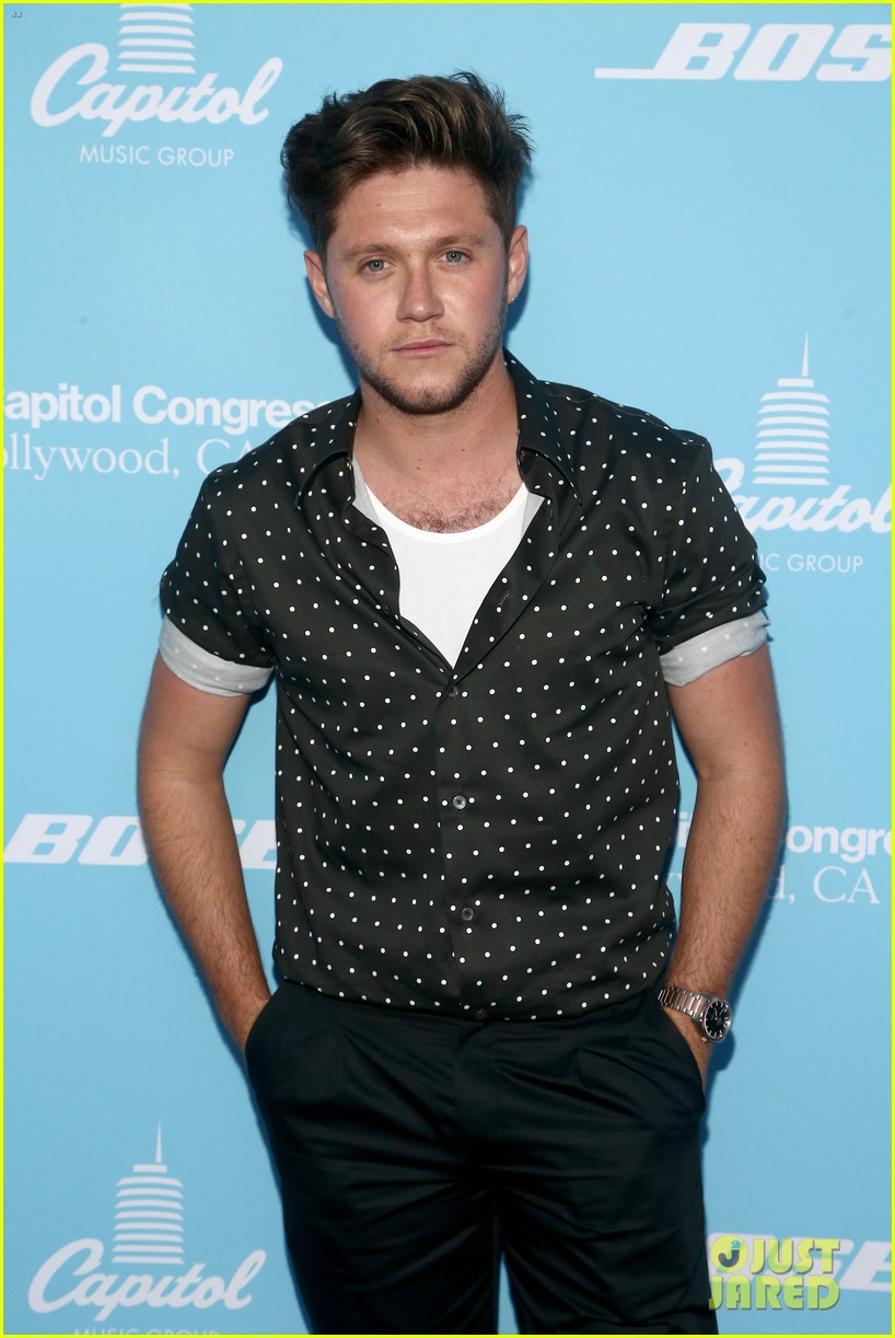 Niall Horan Reveals Title of Next Single, Album On The Way!