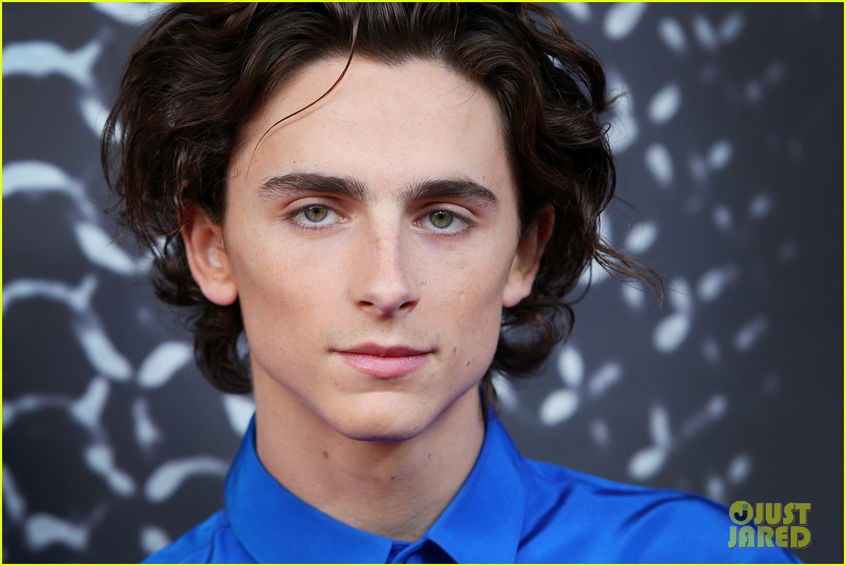 Timothee Chalamet Wears Bright Blue For 'The King' Premiere in Australia
