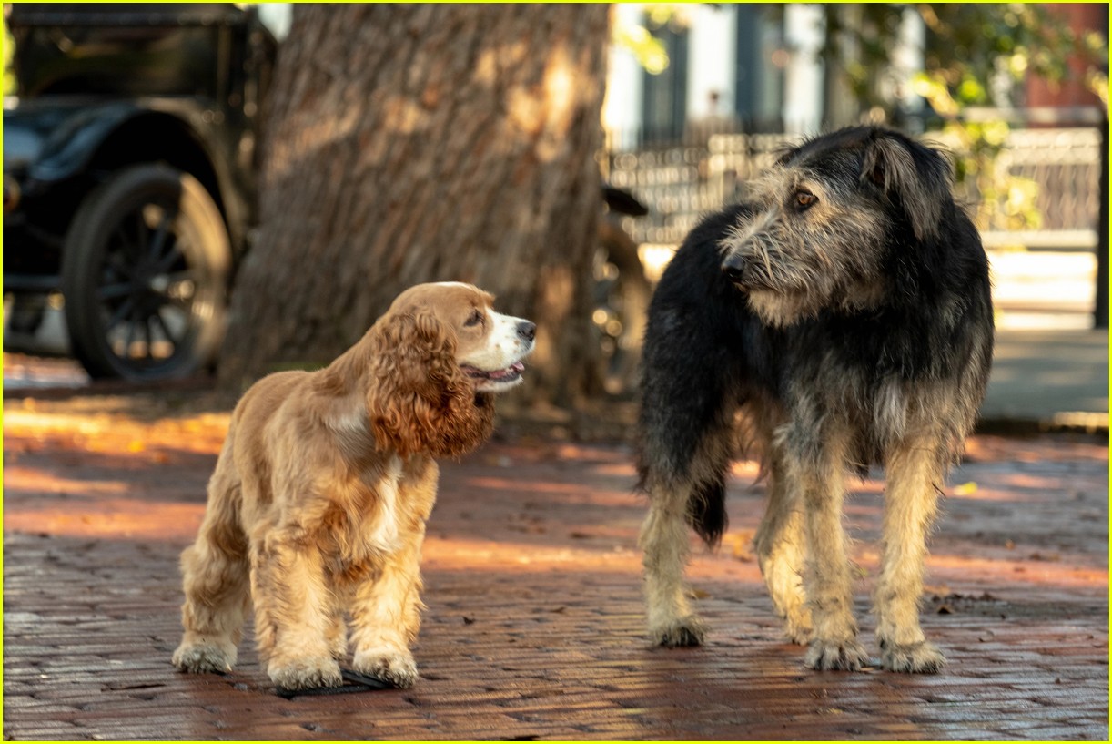Watch an Exclusive 'Lady & The Tramp' Clip Right Here!