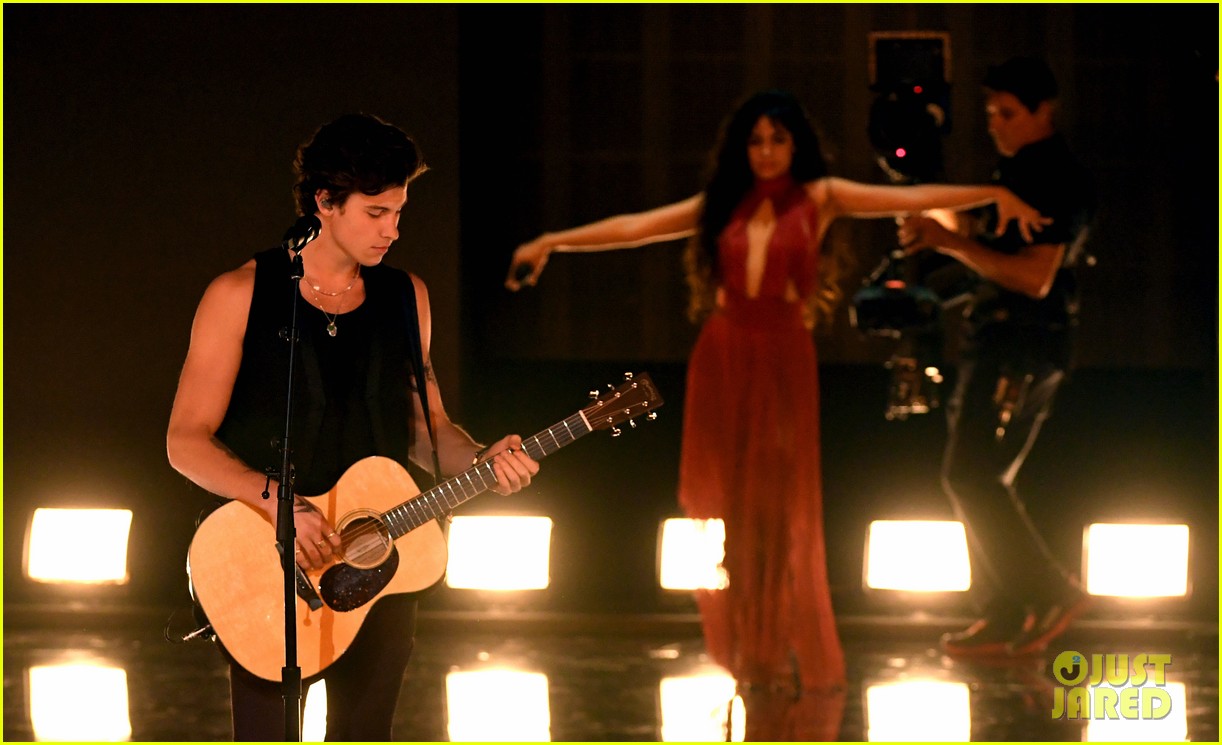 Watch Shawn Mendes & Camila Cabello Perform 'Senorita' Live at AMAs 2019 (Video)