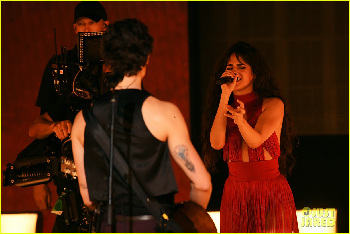 Watch Shawn Mendes & Camila Cabello Perform 'Senorita' Live at AMAs 2019 (Video)