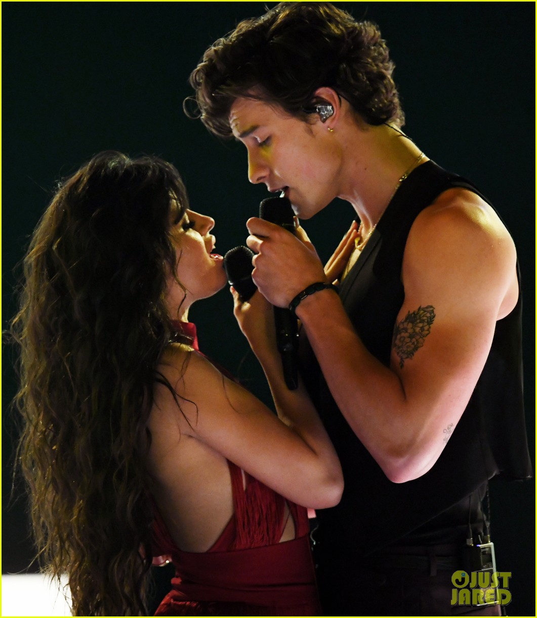 Watch Shawn Mendes & Camila Cabello Perform 'Senorita' Live at AMAs 2019 (Video)