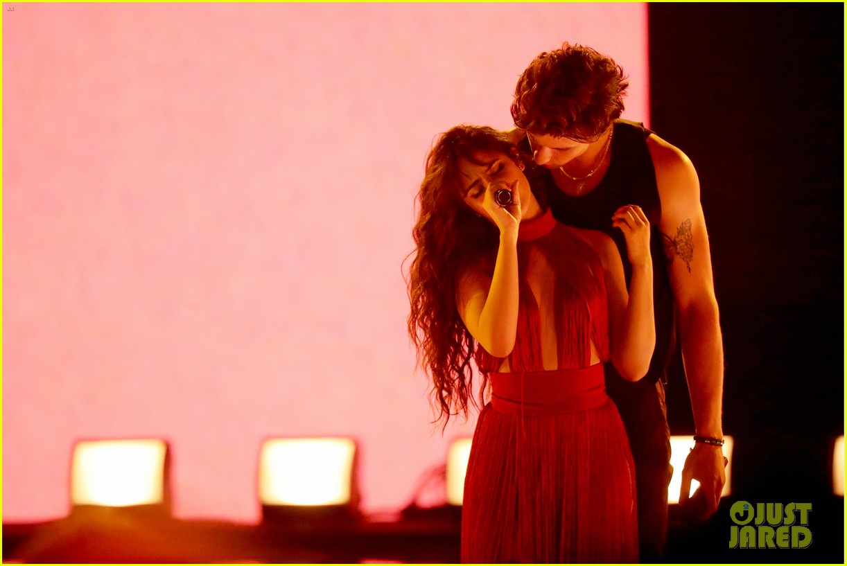 Watch Shawn Mendes & Camila Cabello Perform 'Senorita' Live at AMAs 2019 (Video)