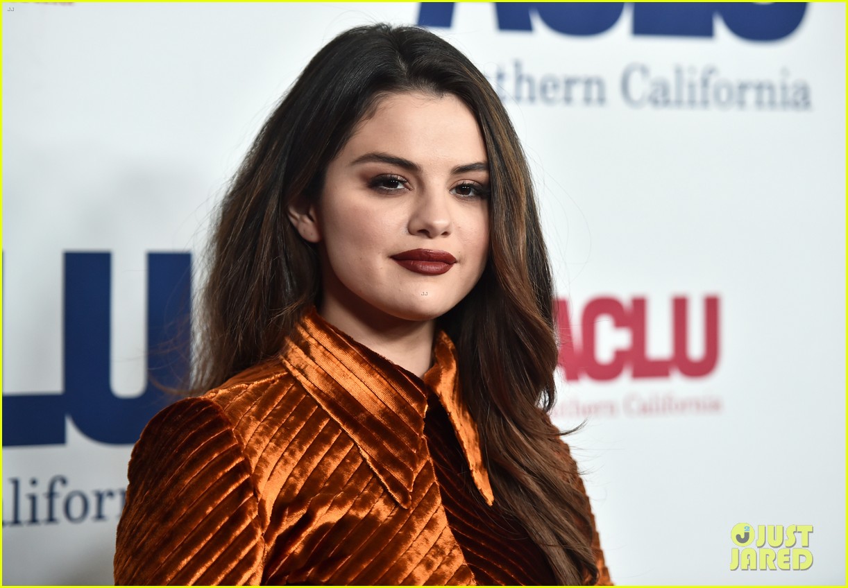 Selena Gomez Looks So Pretty in Velvet Dress at Bill of Rights Dinner