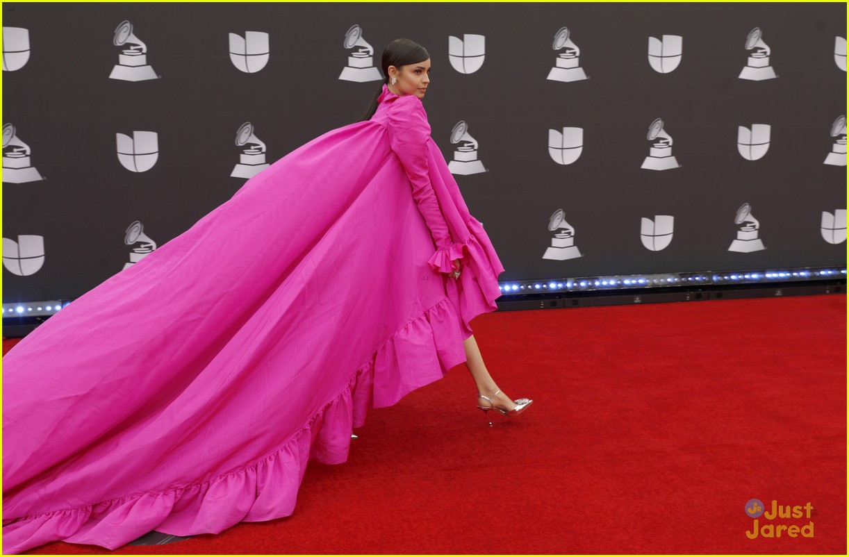 Sofia Carson Makes Us Believe in the Power of Pink at the Latin Grammys 2019