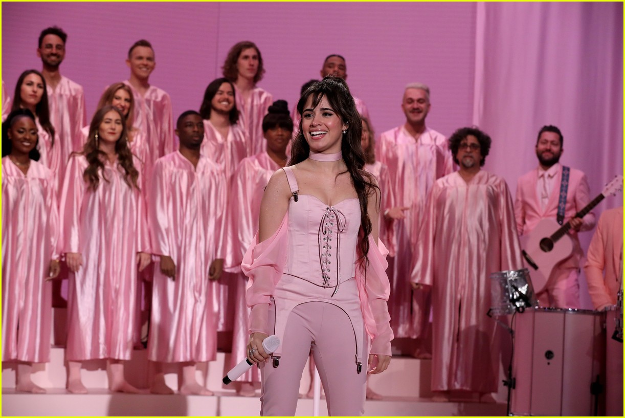 Camila Cabello Talks About Crushing on Shawn Mendes on 'Ellen' (Video)