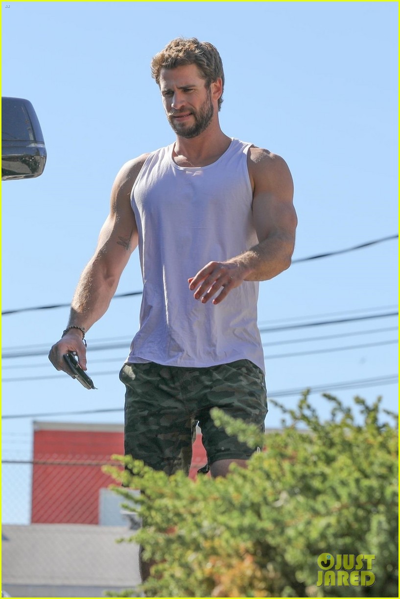Liam Hemsworth Puts His Muscles On Display After Hitting the Gym!