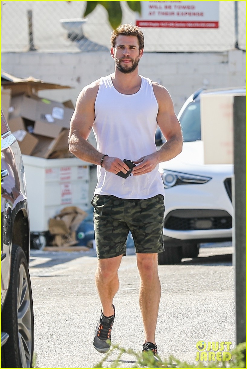 Liam Hemsworth Puts His Muscles On Display After Hitting the Gym!
