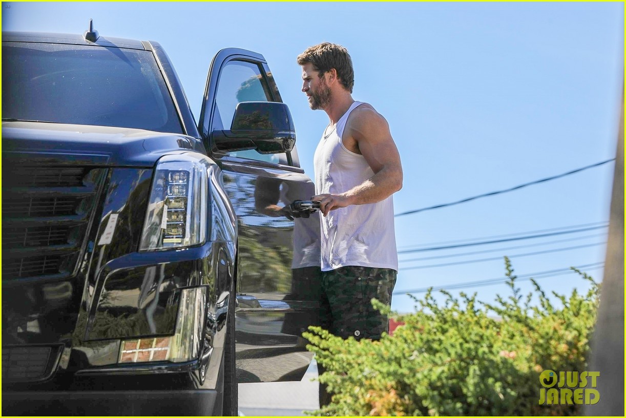 Liam Hemsworth Puts His Muscles On Display After Hitting the Gym!