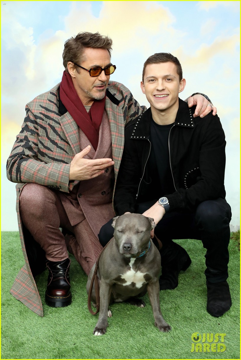Tom Holland Brings His Dog Tessa to 'Dolittle' London Premiere!