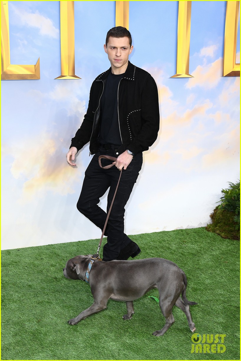 Tom Holland Brings His Dog Tessa to 'Dolittle' London Premiere!
