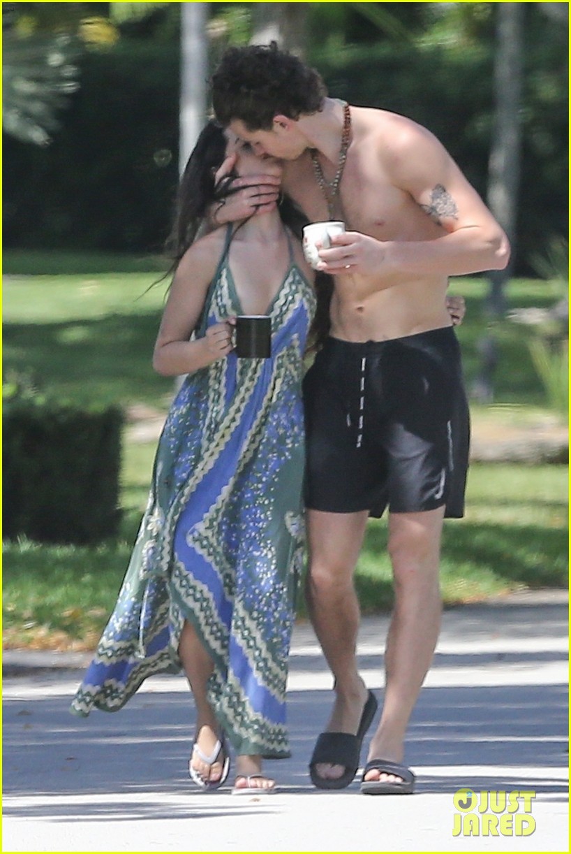 Camila Cabello & Shawn Mendes Engage in Some Quarantine PDA!
