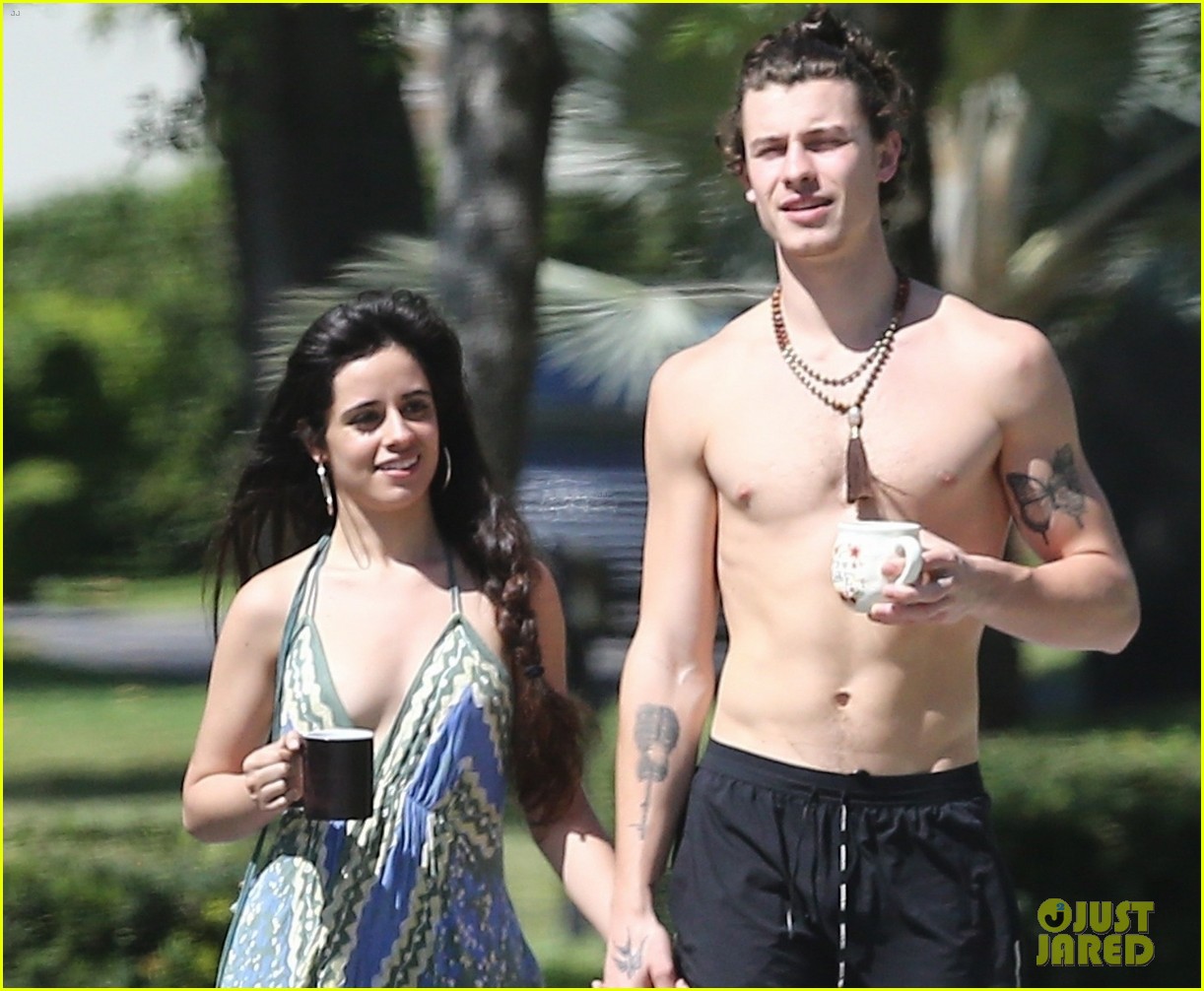 Camila Cabello & Shawn Mendes Engage in Some Quarantine PDA!