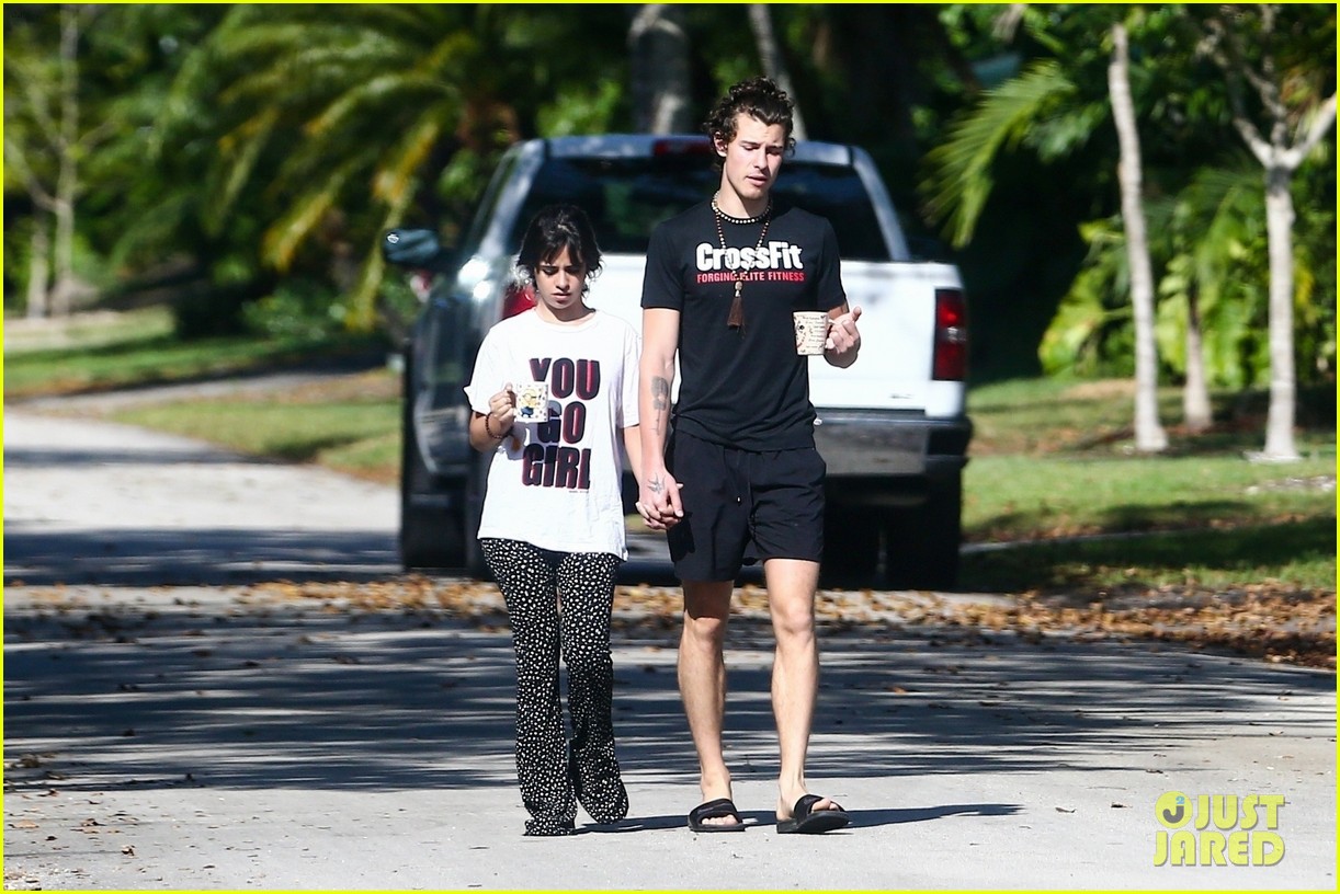 Camila Cabello Holds Hands with Shawn Mendes During Their Friday Morning Walk