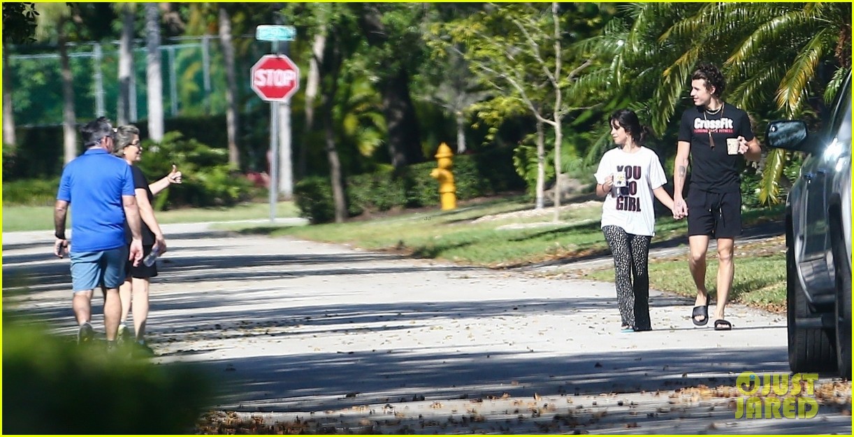 Camila Cabello Holds Hands with Shawn Mendes During Their Friday Morning Walk
