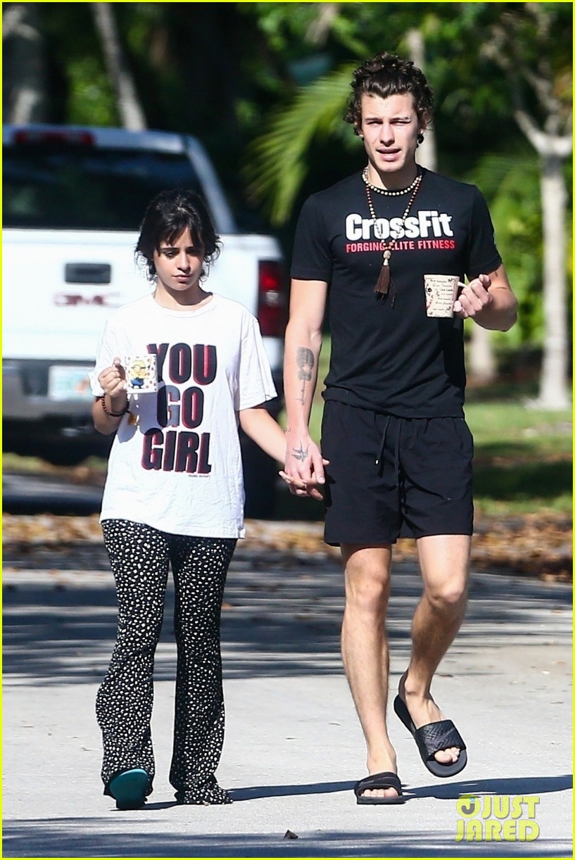 Camila Cabello Holds Hands with Shawn Mendes During Their Friday Morning Walk