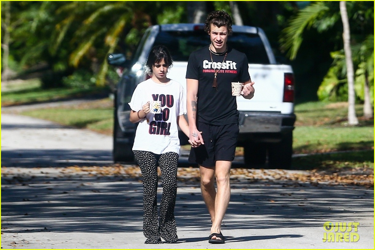 Camila Cabello Holds Hands with Shawn Mendes During Their Friday Morning Walk