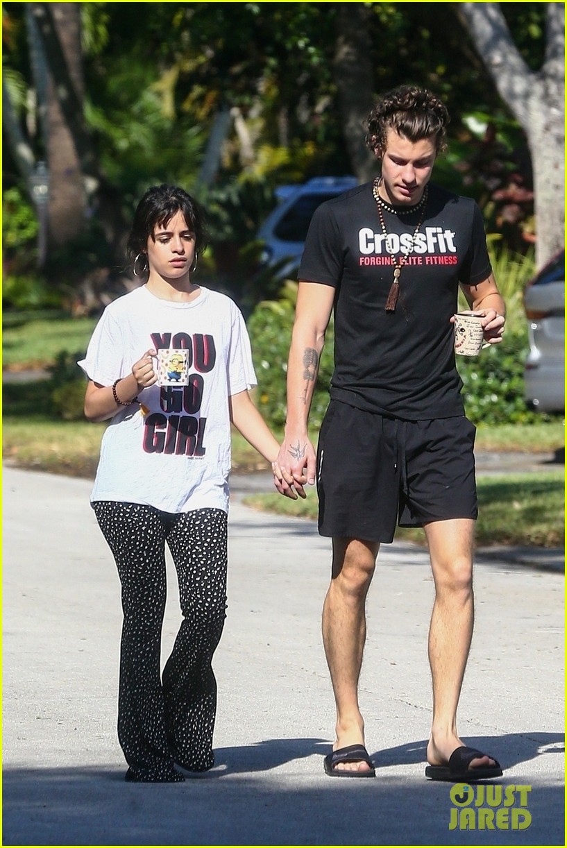 Camila Cabello Holds Hands with Shawn Mendes During Their Friday Morning Walk
