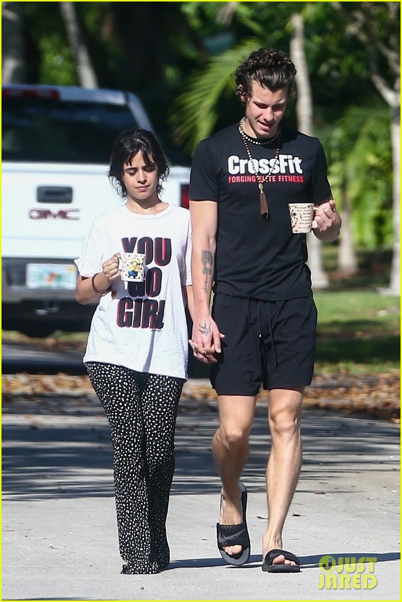 Camila Cabello Holds Hands with Shawn Mendes During Their Friday Morning Walk