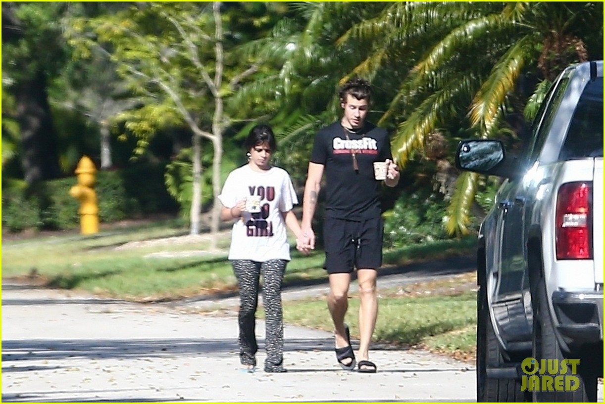 Camila Cabello Holds Hands with Shawn Mendes During Their Friday Morning Walk