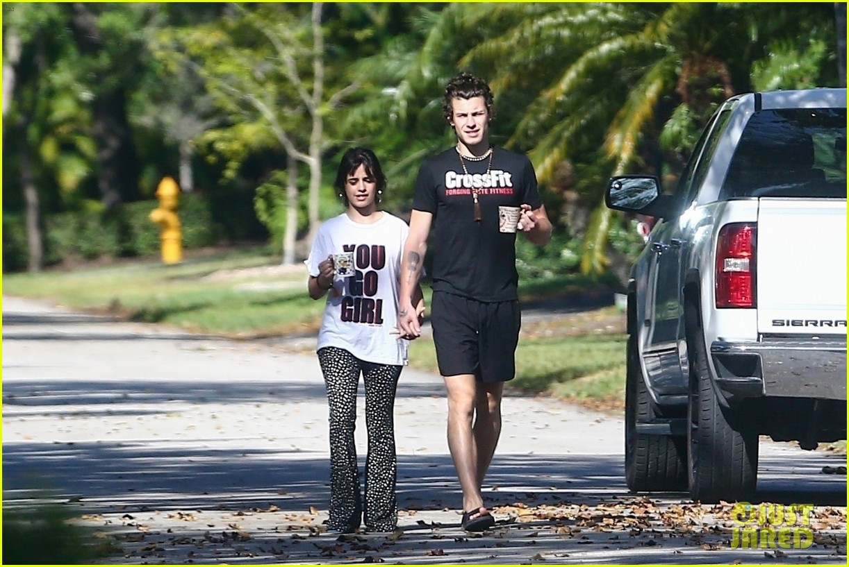 Camila Cabello Holds Hands with Shawn Mendes During Their Friday Morning Walk