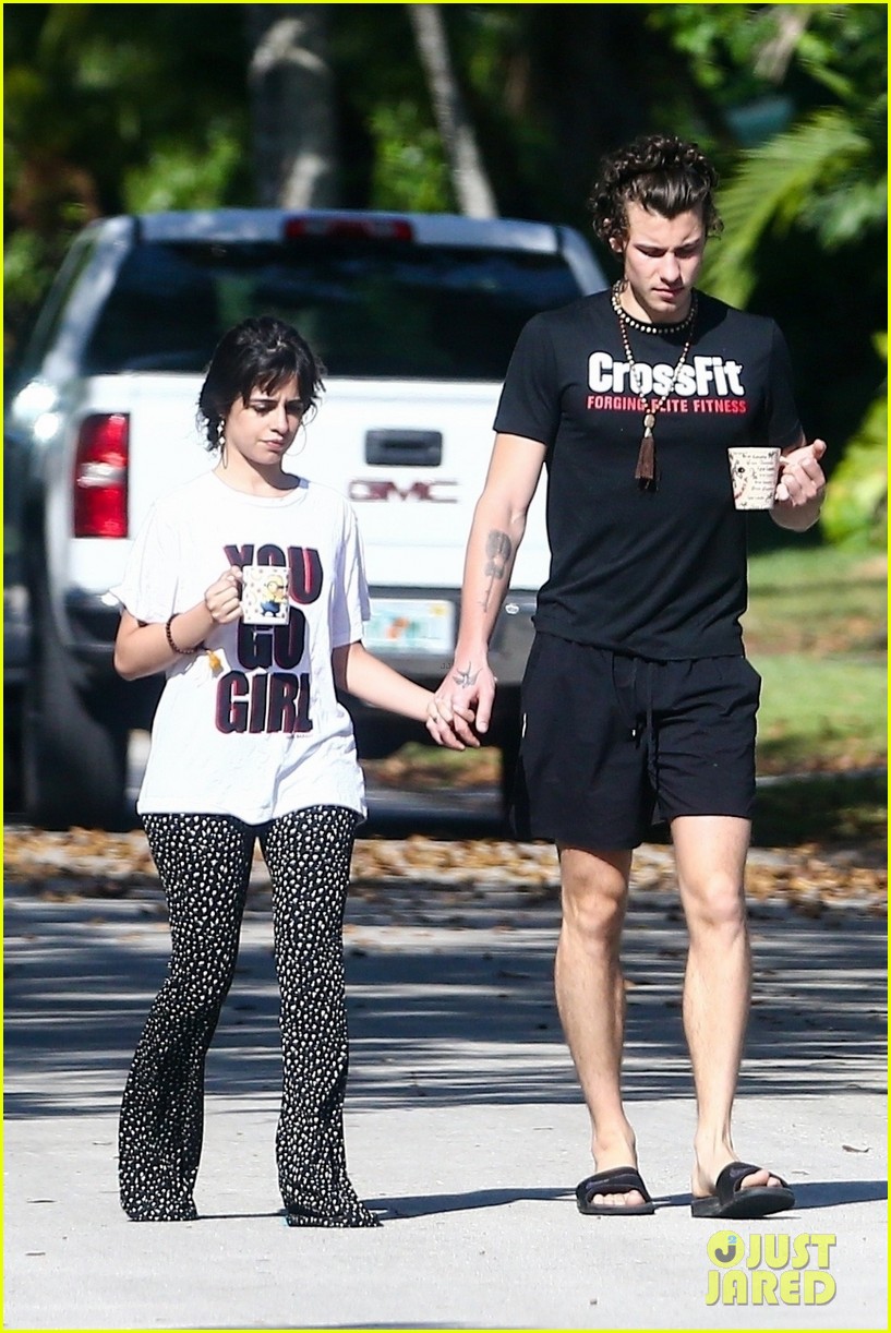 Camila Cabello Holds Hands with Shawn Mendes During Their Friday Morning Walk