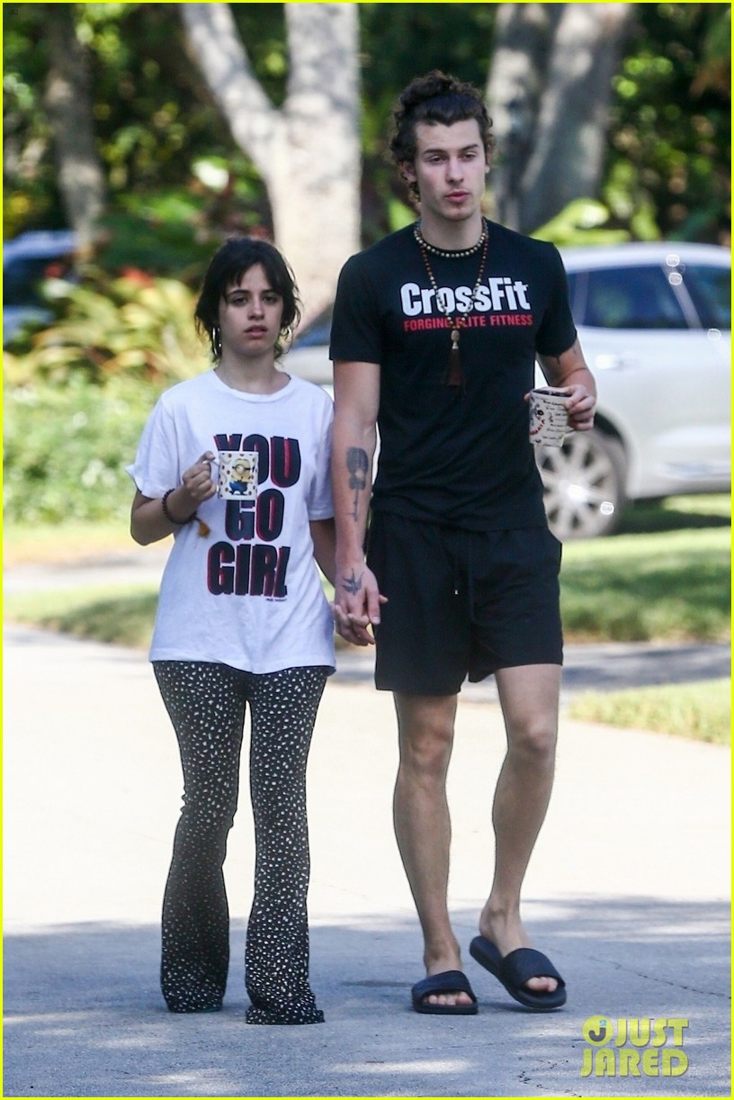 Camila Cabello Holds Hands with Shawn Mendes During Their Friday Morning Walk