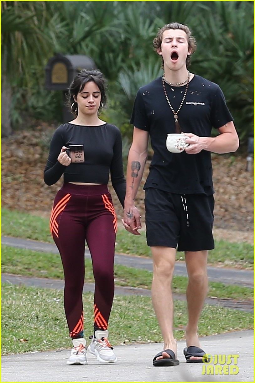 Shawn Mendes Holds Hands with Camila Cabello on Their Morning Stroll