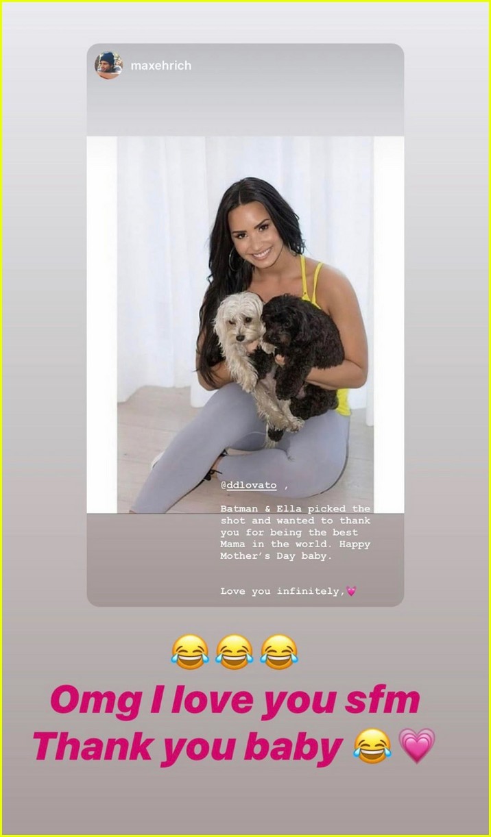 Max Ehrich Wishes Demi Lovato 'Happy Mother's Day' From Her Dogs Batman & Ella