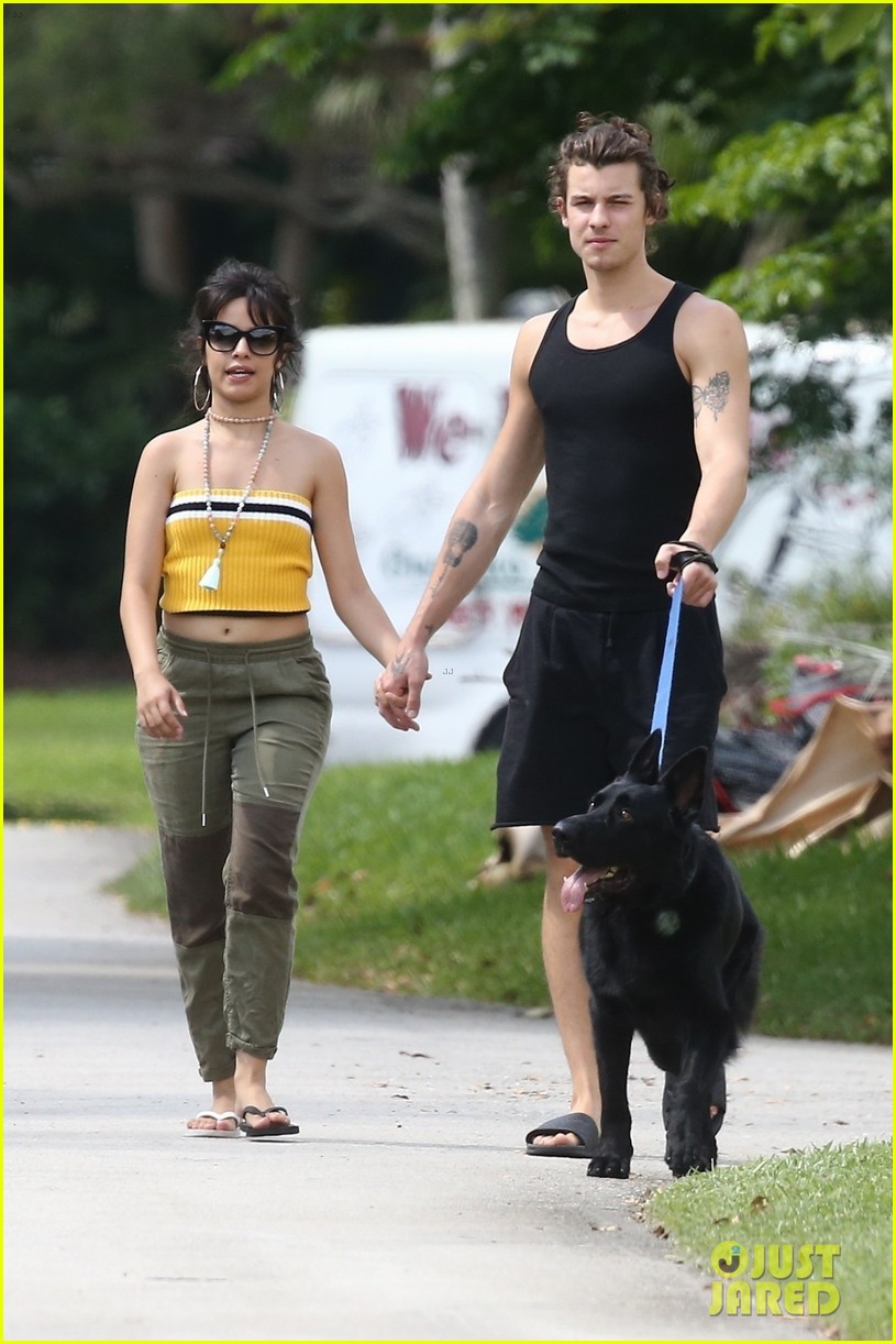 Camila Cabello Goes for a Walk With Her Dog Thunder & Boyfriend Shawn Mendes
