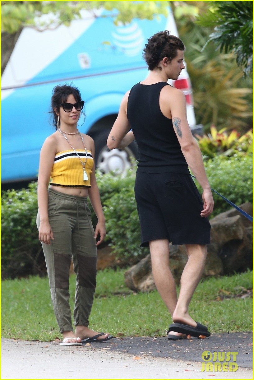 Camila Cabello Goes for a Walk With Her Dog Thunder & Boyfriend Shawn Mendes