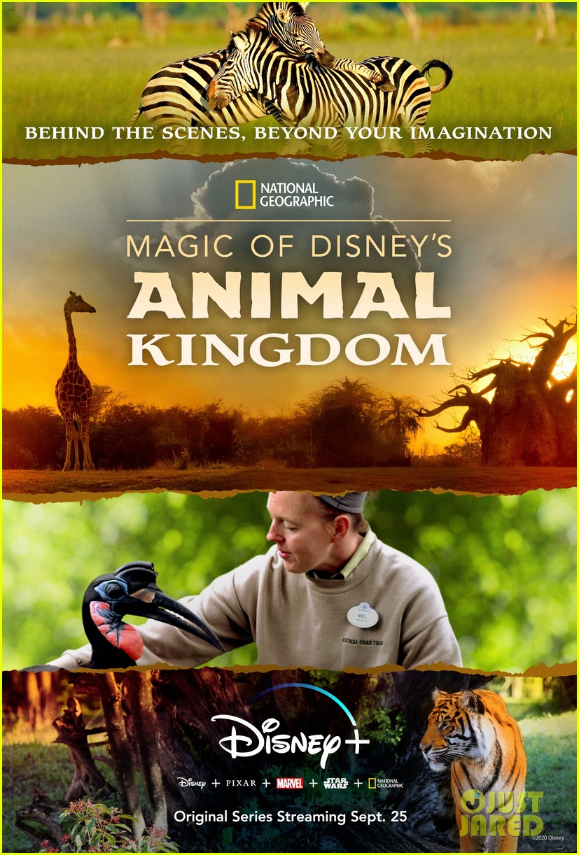 Disney+ To Take Fans Behind-The-Scenes of Walt Disney World's Animal Kingdom In New Docu-Series